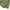 Streetwear Minimalist Windbreaker Pria green photo 3