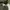 Streetwear Minimalist Windbreaker Pria green photo 4