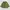 Streetwear Minimalist Windbreaker Pria green photo 2