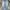 Dickies Vintage Y2K Jeans Pria Multicolor
