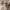 Burberry Casual Hat Pria tan photo 2
