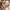 Burberry Casual Hat Pria tan photo 3