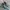 Arc'teryx Indie Casual Sneakers Pria blue black photo 3