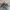 Arc'teryx Indie Casual Sneakers Pria Blue Black