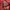 RIPVANWINKLE Streetwear Luxury Hoody Pria red photo 1