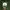 Vintage Hat Pria green white photo 1