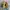 Arc'teryx Y2K Gorpcore Sneakers Pria blue photo 5