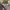 Japanese brand Streetwear Luxury Hoody Pria multicolor tan photo 1