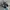 Adidas Indie Casual Sneakers Pria white black photo 3