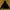Adidas Streetwear Hoody Pria black photo 4