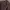 Converse Y2K Sportswear Sweatpants & Joggers Pria brown photo 6