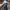 Barbour Streetwear Sportswear Parka Pria navy photo 5