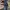 Barbour Streetwear Sportswear Parka Pria navy photo 6