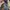 Barbour Streetwear Sportswear Parka Pria navy photo 7