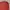 Zegna Luxury Formal Shirt Pria Burgundy