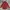 Zegna Luxury Formal shirt Pria burgundy photo 1
