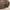 Japanese brand Vintage Polo shirt Pria brown photo 4