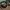 Burberry Vintage Glass Wanita brown photo 5