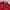 Back Number Casual Polo shirt Pria red photo 2
