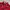 Back Number Casual Polo Shirt Pria Red