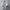 Japanese brand Vintage Y2K T-shirt Pria white photo 6