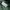 New Era Casual Fleece Pria green photo 5