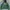 New Era Casual Fleece Pria green photo 1