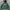 New Era Casual Fleece Pria Green