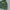 New Era Casual Fleece Pria green photo 2
