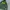 New Era Casual Fleece Pria Green