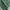 New Era Casual Fleece Pria green photo 3