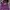 Ben Davis Vintage Streetwear Hoody Pria purple photo 1