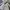 FTC Streetwear Casual Fleece Pria gray photo 3