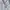 FTC Streetwear Casual Fleece Pria gray photo 5