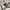 FTC Streetwear Casual Fleece Pria gray photo 4