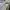 FTC Streetwear Casual Fleece Pria gray photo 2