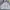 FTC Streetwear Casual Fleece Pria Gray