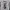 Reebok Sportswear Jersey Pria multicolor photo 7