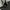 BOY London Luxury Futurist Fleece Pria black photo 4