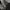 BOY London Luxury Futurist Fleece Pria black photo 7