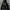 Jean-Michel Basquiat Streetwear Skater Fleece Pria Black