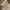 Casual Pleated skirt Wanita khaki cream photo 2