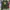 Japanese brand Streetwear Y2K Hoody Pria green photo 1