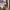 Superdry Streetwear Sportswear Hoody Pria gray photo 5