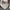 Superdry Streetwear Sportswear Hoody Pria gray photo 4