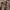 GU Sportswear Casual Puffer jacket Pria brown photo 3
