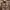 GU Sportswear Casual Puffer jacket Pria brown photo 1