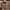 GU Sportswear Casual Puffer Jacket Pria Brown