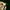 Streetwear Casual Hat Pria cream photo 4