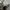 Budweiser Streetwear Y2K Sweatshirt Pria gray photo 5